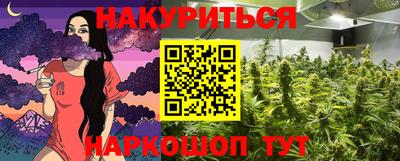 шишки Шелехов