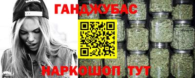 шишки Шелехов