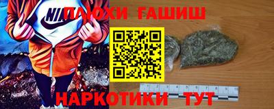 шишки Шелехов