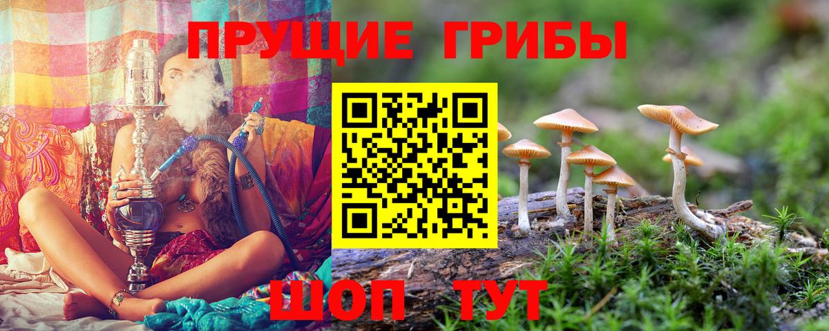 Галлюциногенные грибы мухоморы Брянск